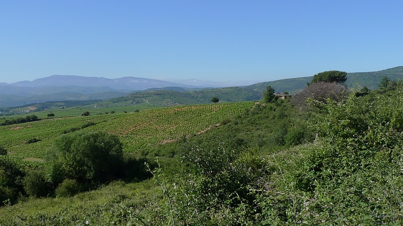 P1650016.JPG