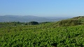 P1650009