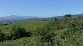 P1650016