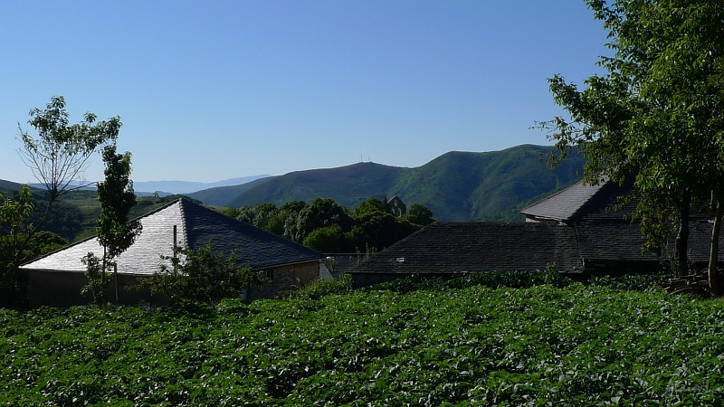 P1660003.JPG