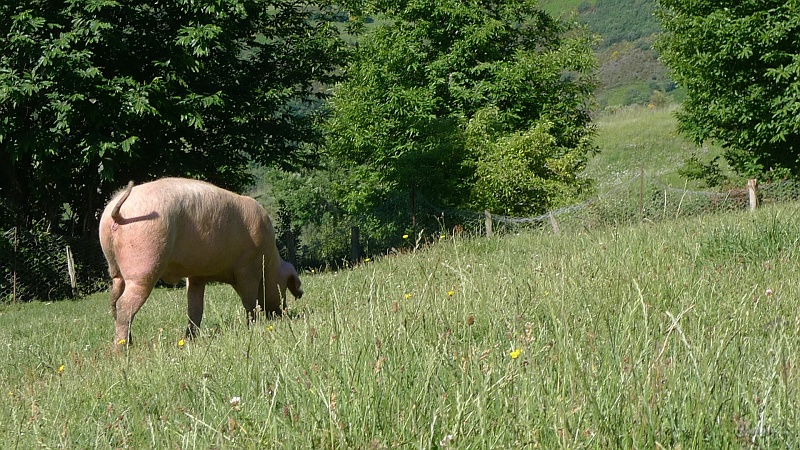 P1660008.JPG