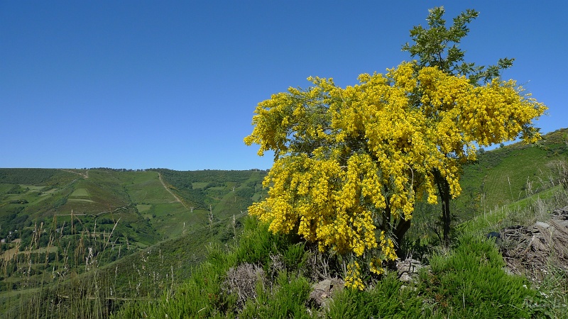P1660009.JPG