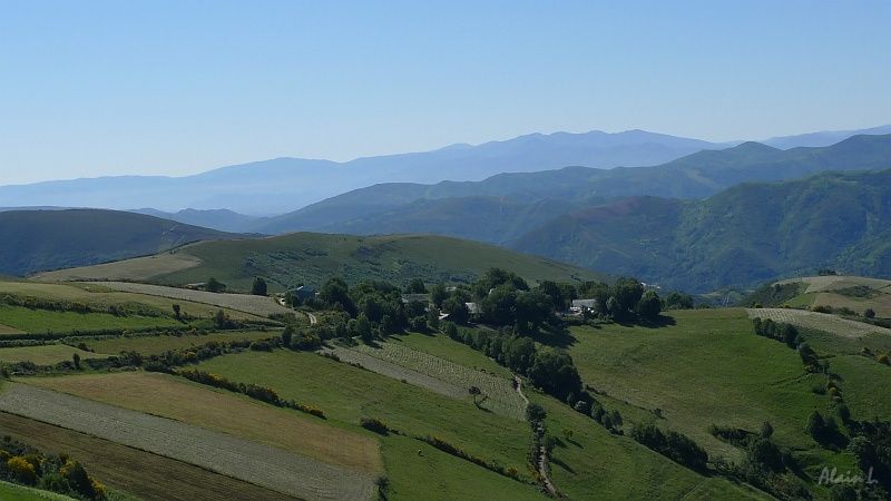 P1660011.JPG