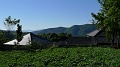 P1660003