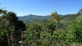 P1660010