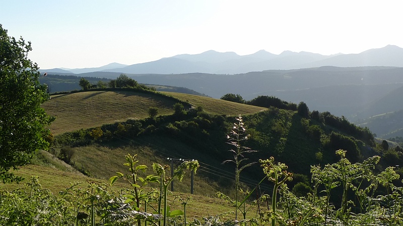 P1670003.JPG