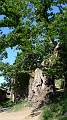 P1670014