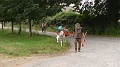 P1680011