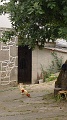 P1680014