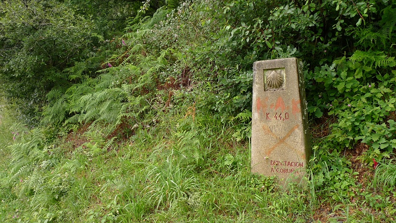 P1710013.JPG - Km 44
