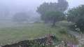 61-090623-Barbadelo