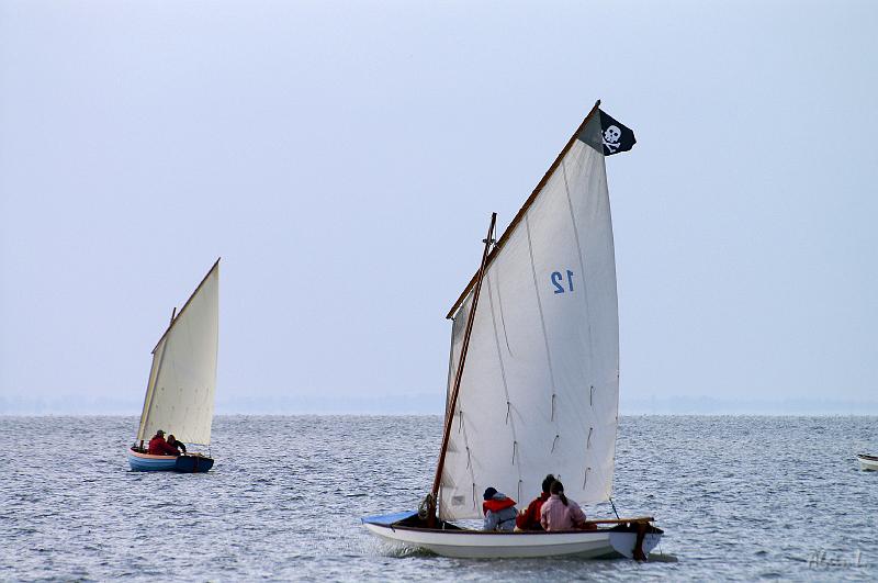 PICT3516c.jpg