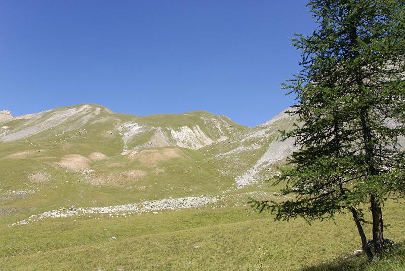 DSC03281.jpg