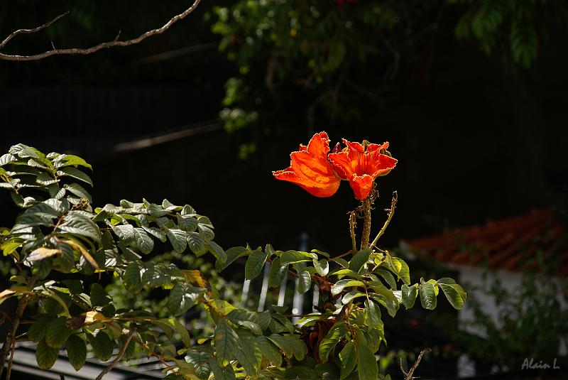 DSC04937.JPG