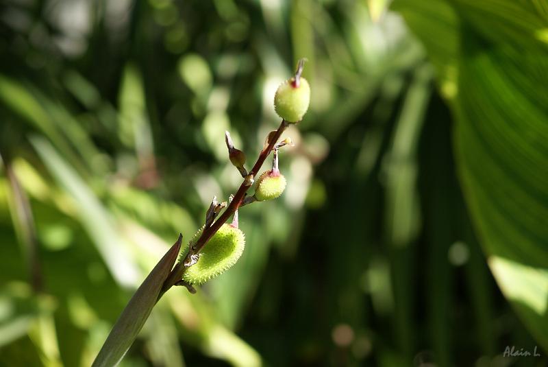 DSC04657.JPG