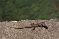 DSC04705_out
