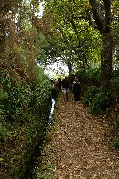 DSC04959.JPG