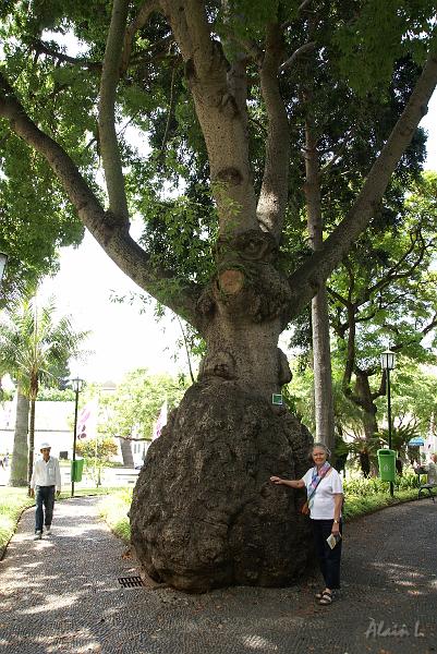 DSC04431.JPG - Le jardin municipal est modeste mais il nous a beaucoup impressionné