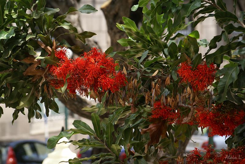 DSC04463.JPG