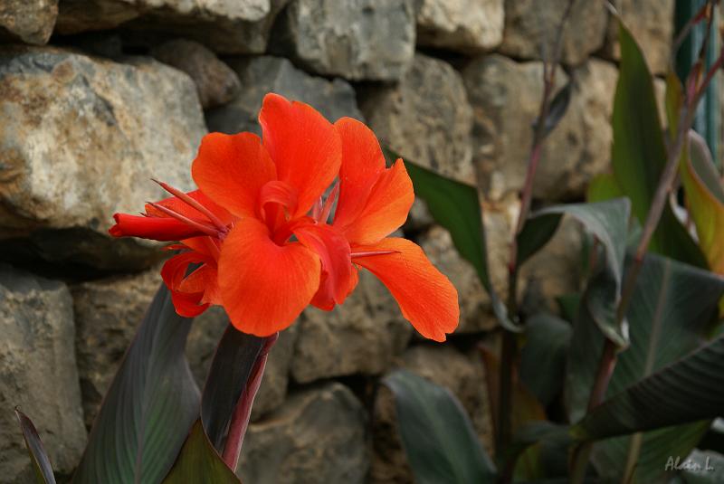 DSC04510.JPG