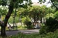 DSC04446