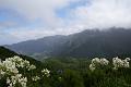 DSC04566