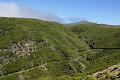 DSC04605