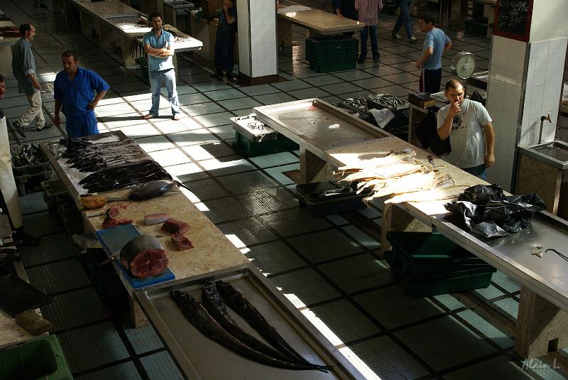 DSC04833.JPG - La partie consacrée aux poissons est à l'étage inférieur