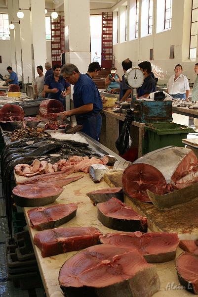 DSC04836.JPG - Les steaks de thon sont impressionnants