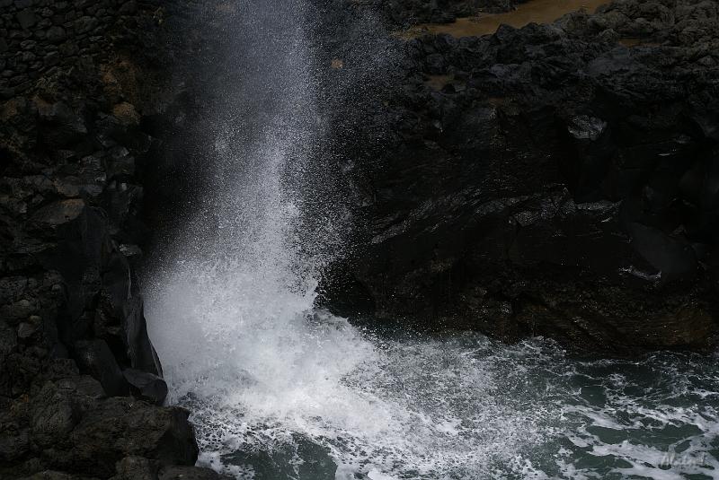DSC04786.JPG