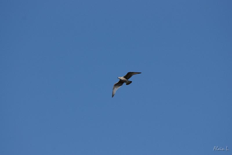 DSC01557.JPG