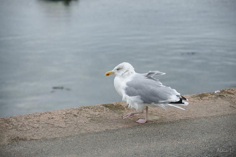 DSC01659.JPG