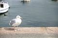DSC01661