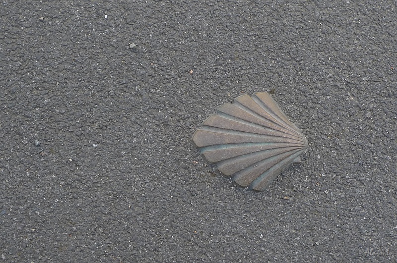 P1170007.JPG - La coquille de bronze noyé dans le revêtement des trottoirs de Neuvy-Saint-Sépulchre