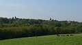 P1190005