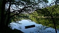 P1190008