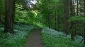 P1190009