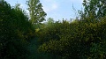 P1260008