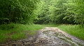P1280009