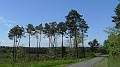 P1310007