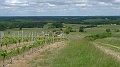P1310012