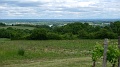 P1310017