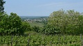 P1330015