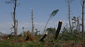P1380005