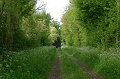 10-090503-Cluis