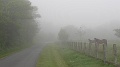 28-090521-LesBillons