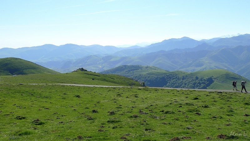 P1430016.JPG