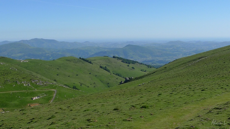 P1430017.JPG