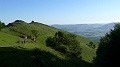 P1430009