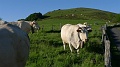 P1430010
